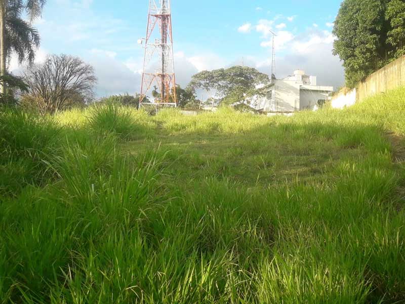 1.500 m² oportunidade